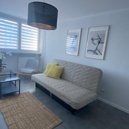 Apartament Os. Jasne 19B Dzierżoniów Dış mekan fotoğraf